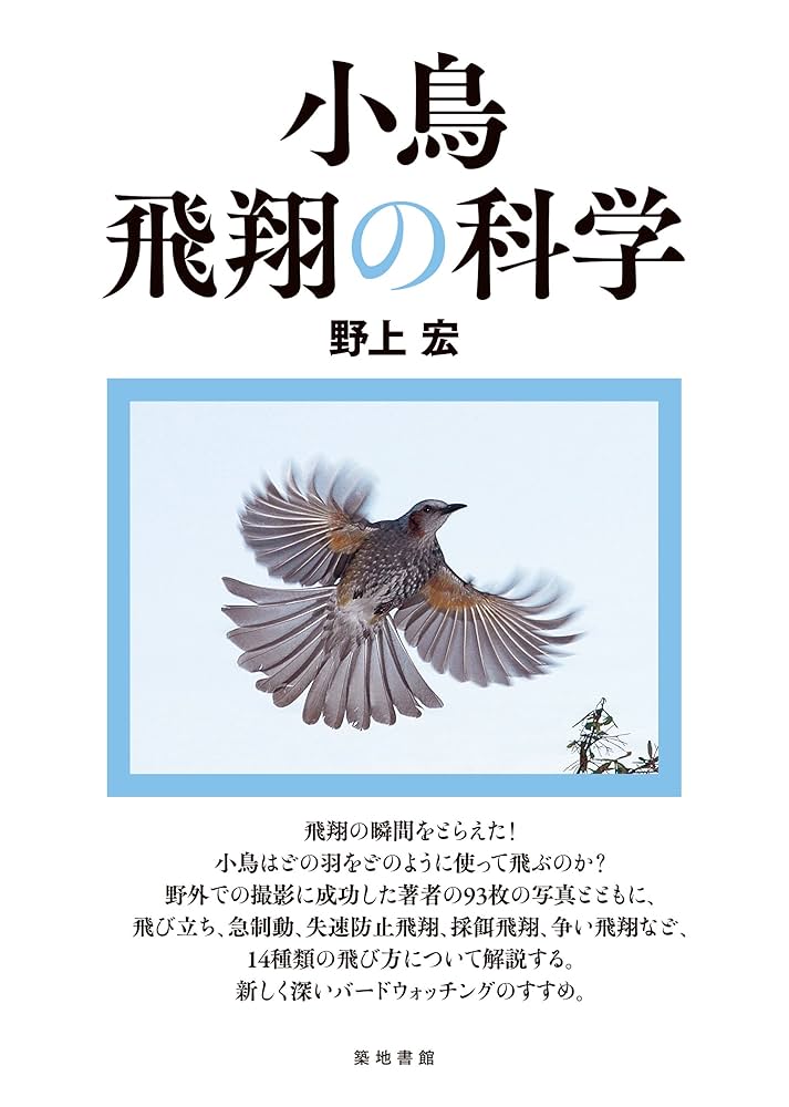 天使の爪   /飛鳥新社/メビウス（大型本） 天使の爪 /飛鳥新社/メビウス（大型本）の通販 by VALUEBOOKS